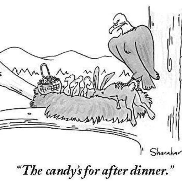 Meet your Posher, Laura - Picture 1 of 1